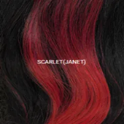 Janet Collection Remy Illusion X-Long Human Hair Blend HD Lace Front Wig- Hibo