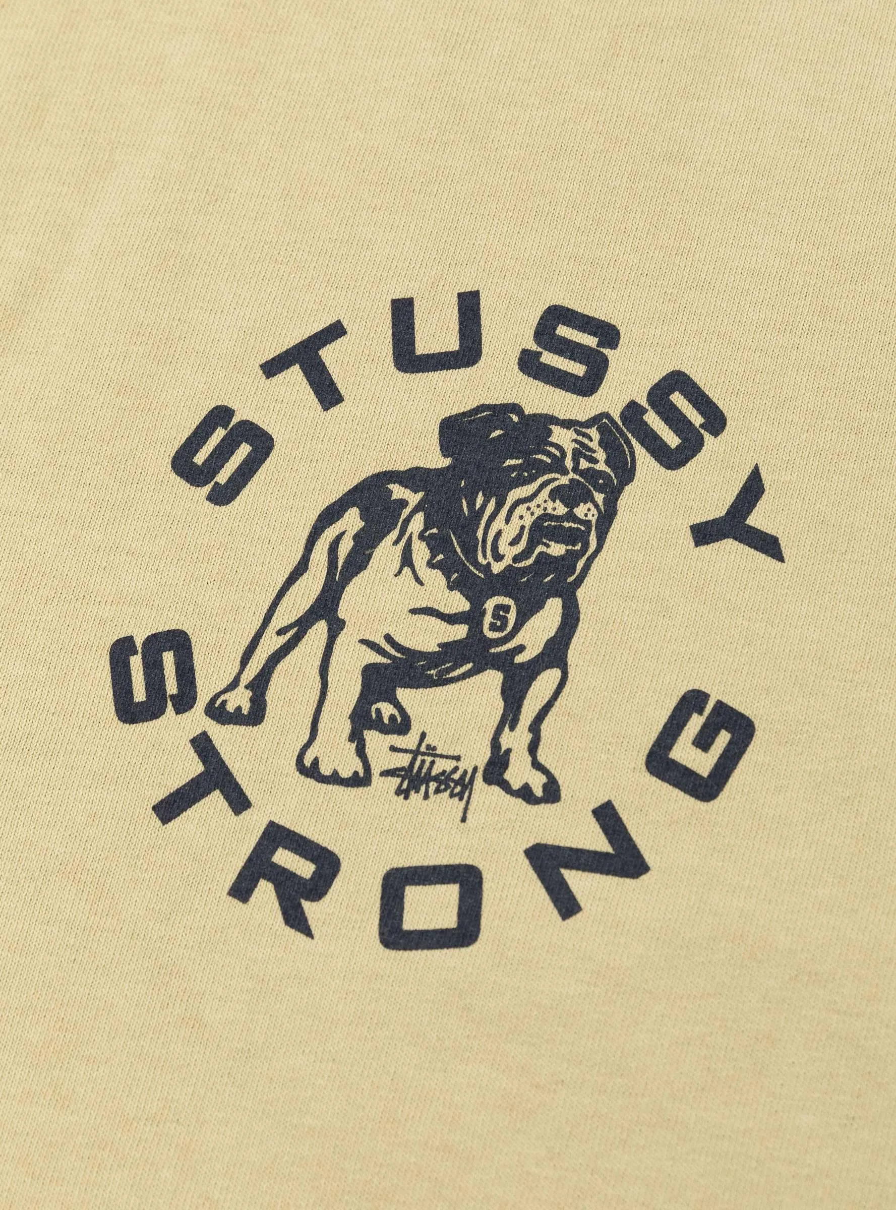 Strong Mac Pigment Dyed Tee Elm