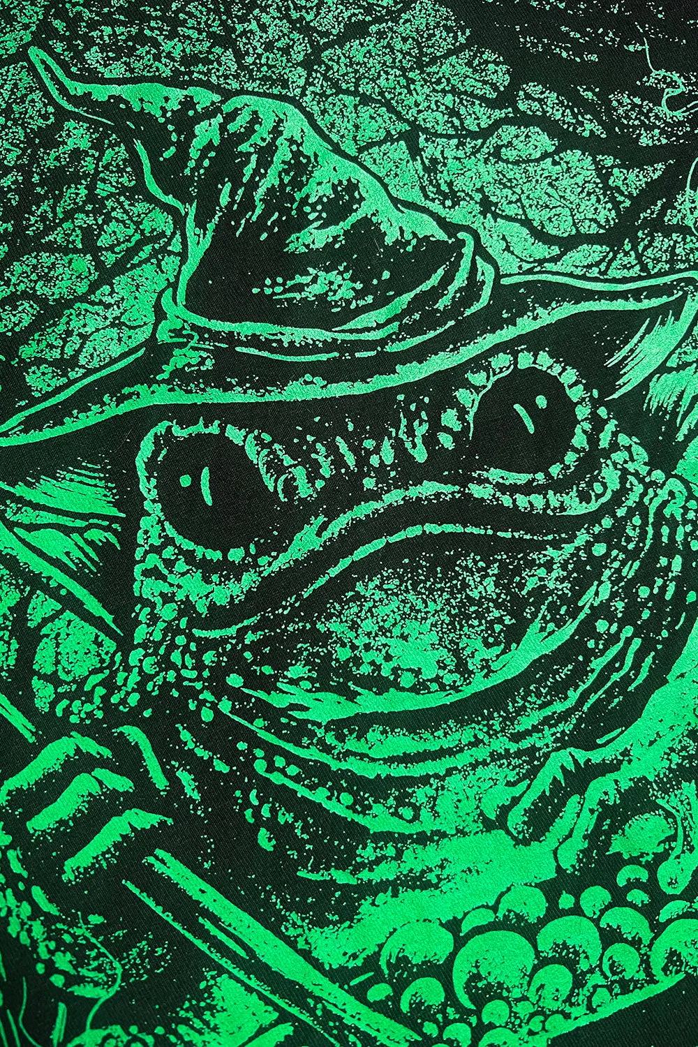 Witch Toad Hoodie