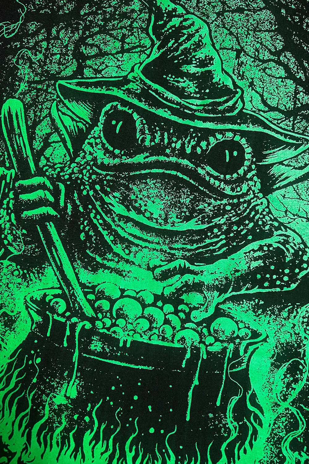 Witch Toad Hoodie